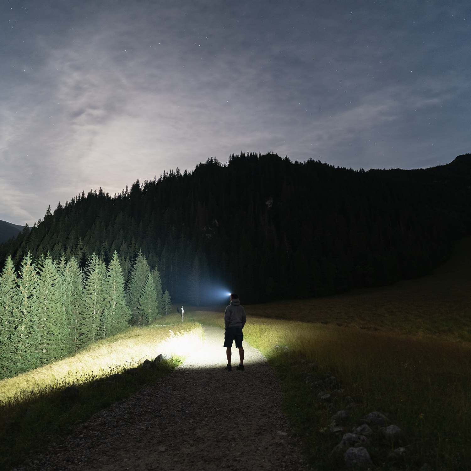 Usb rechargeable head torch ultra bright led with charging cable included